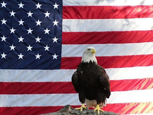 Pacific Symphony American flag and bald eagle