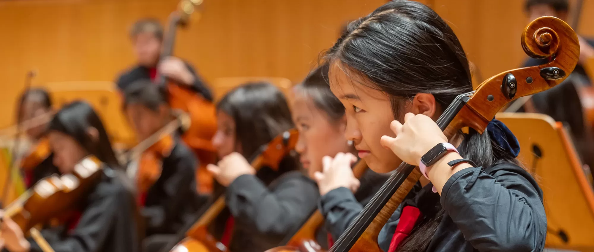 Members of Pacific Symphony Santiago Strings playing cello