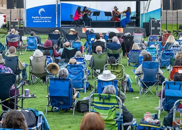 Symphony on the Go: <br>City of Dana Point